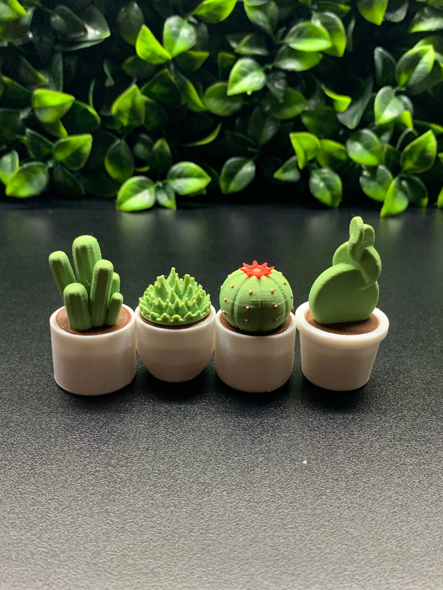 Cactus Clickers