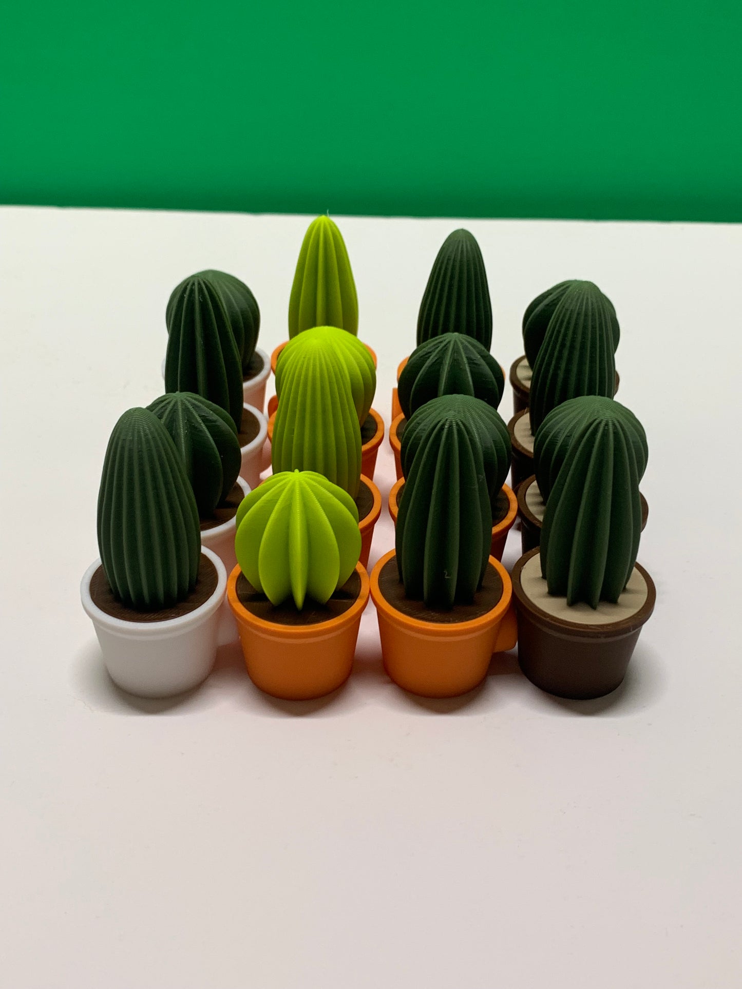 Cactus Magnet