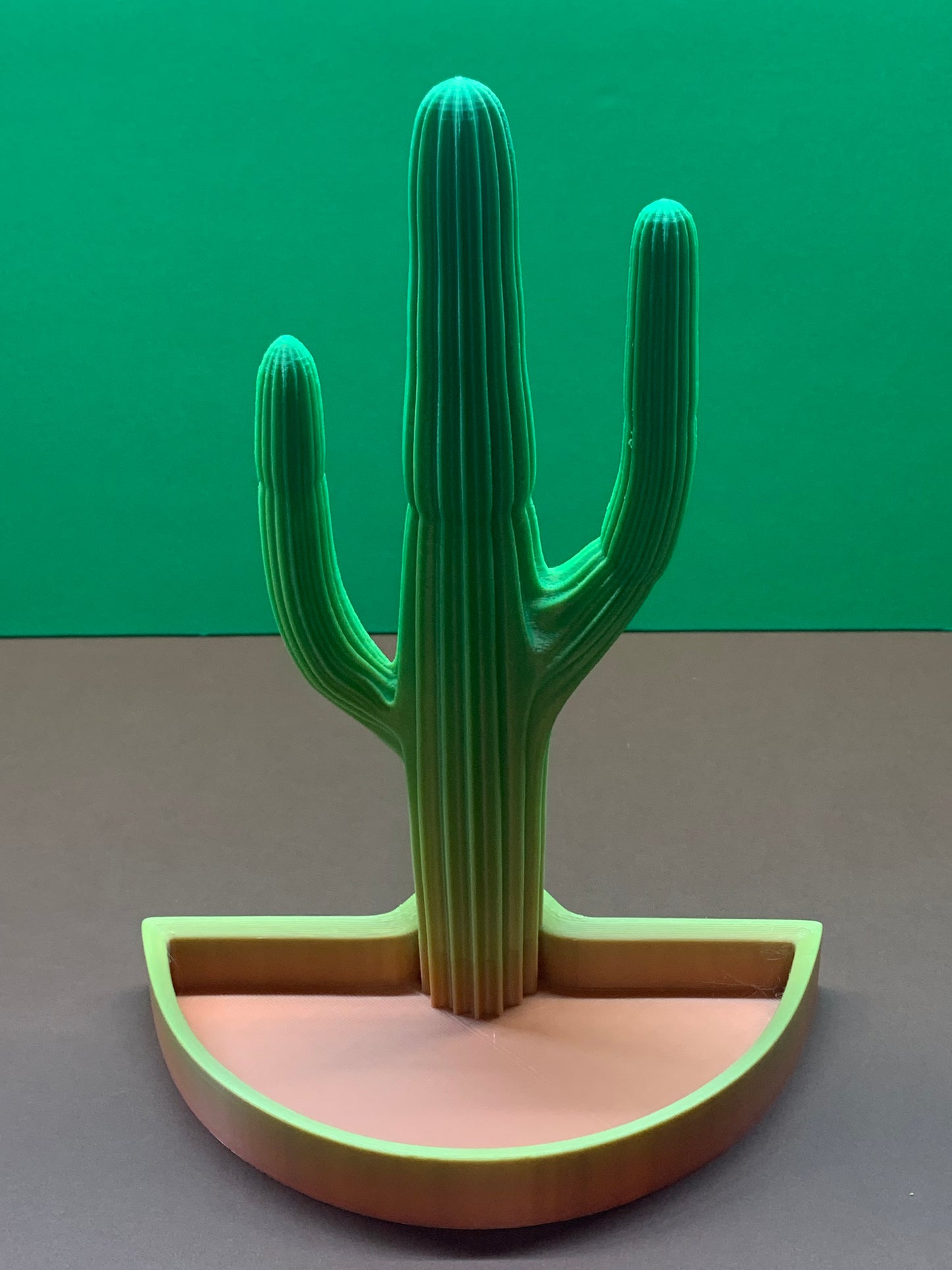 Cactus Tray