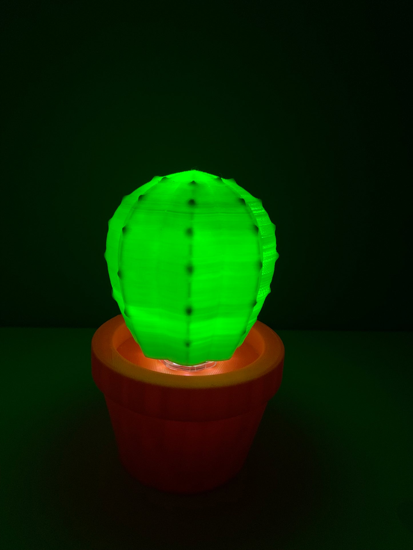 Cactus Lamp