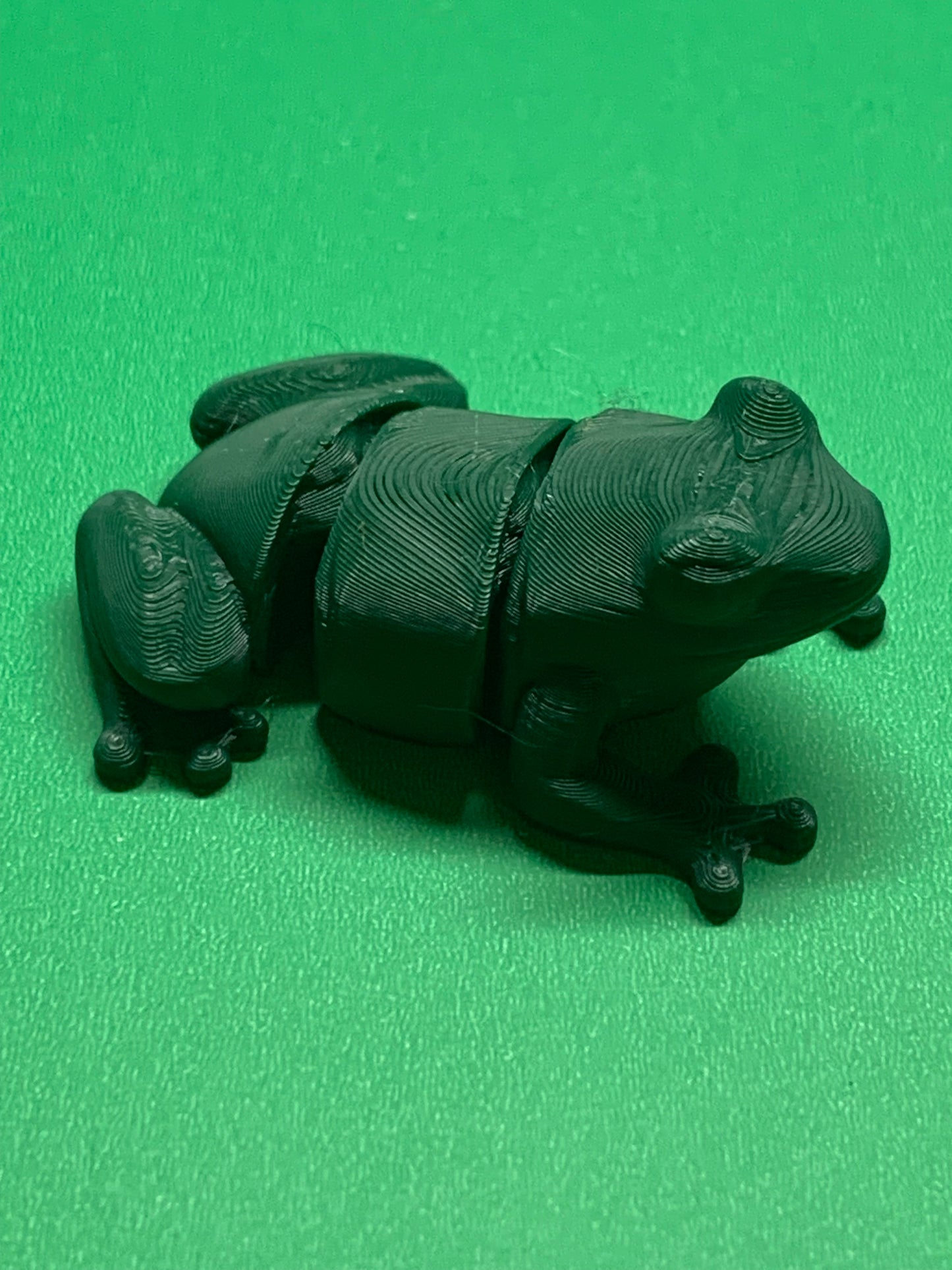 Articulated Tree Frog