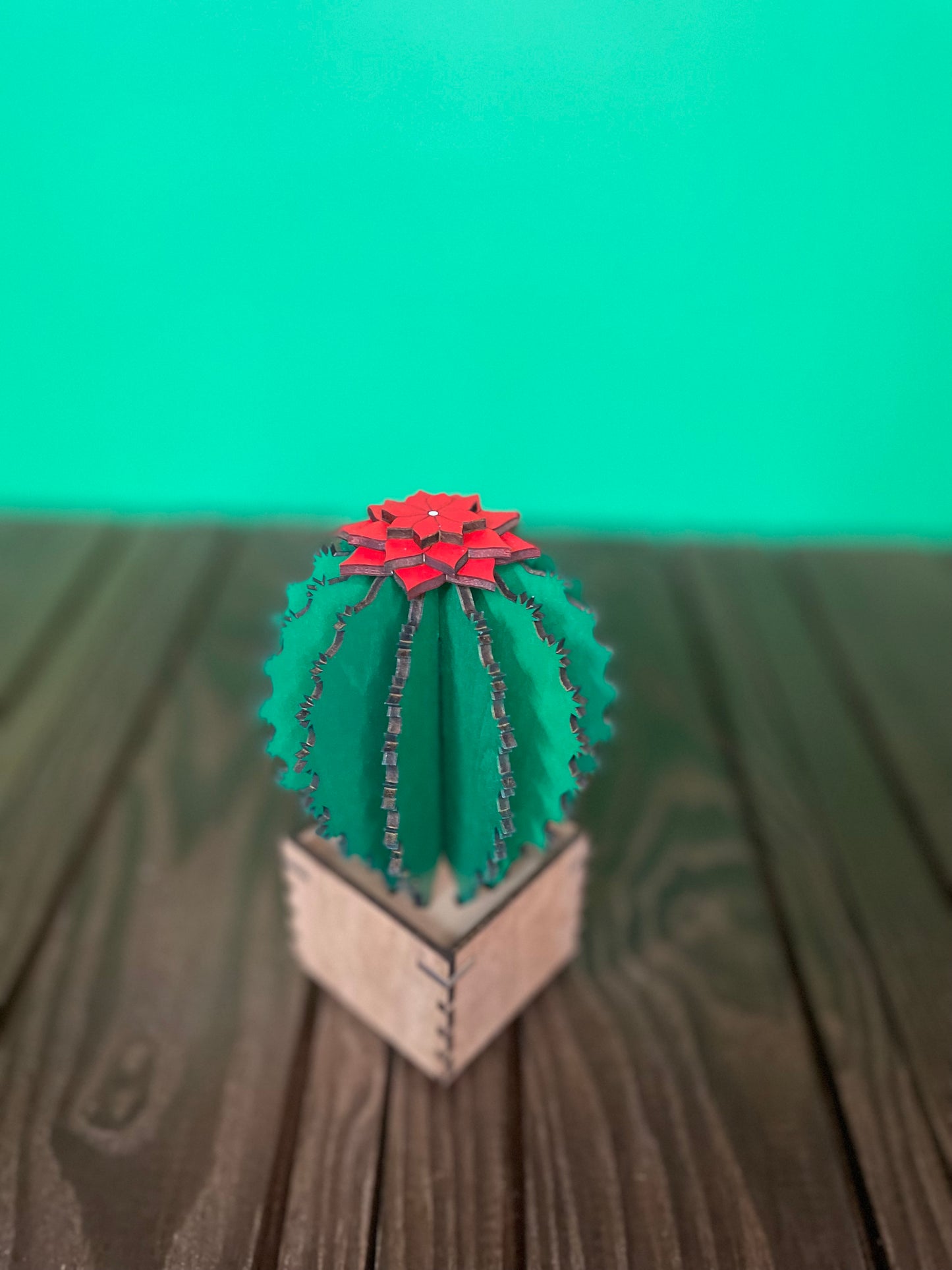 Wooden Barrel Cactus - Stash Box