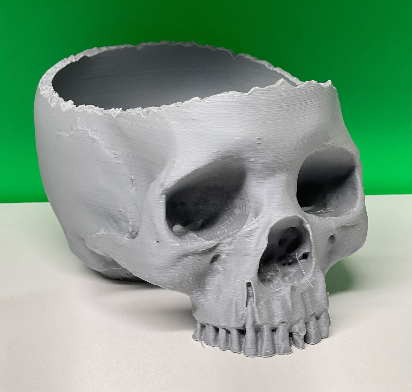 Skull Planter