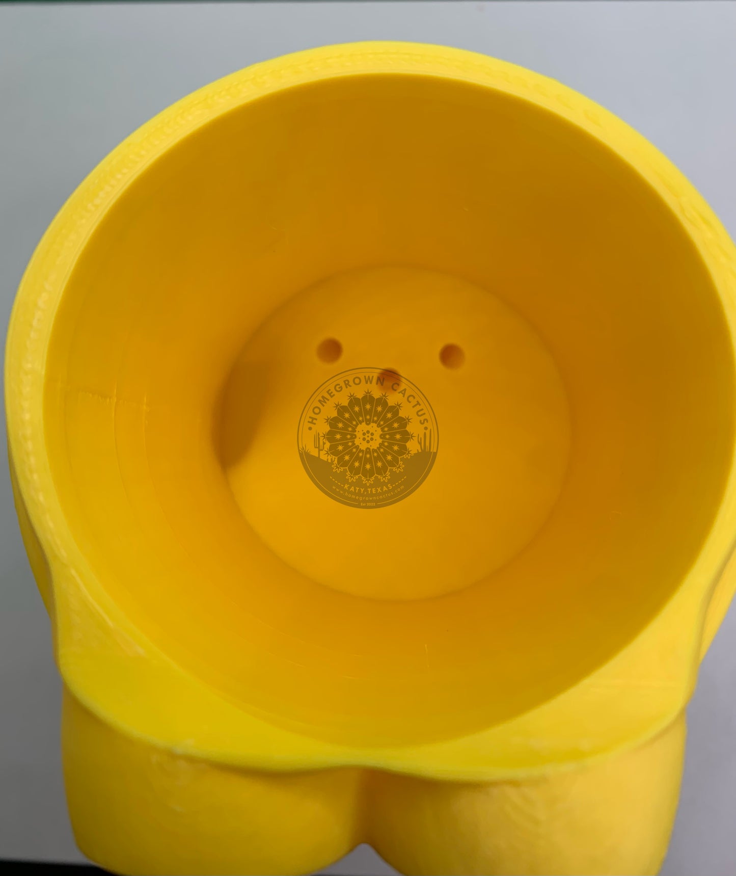 Minion Pot