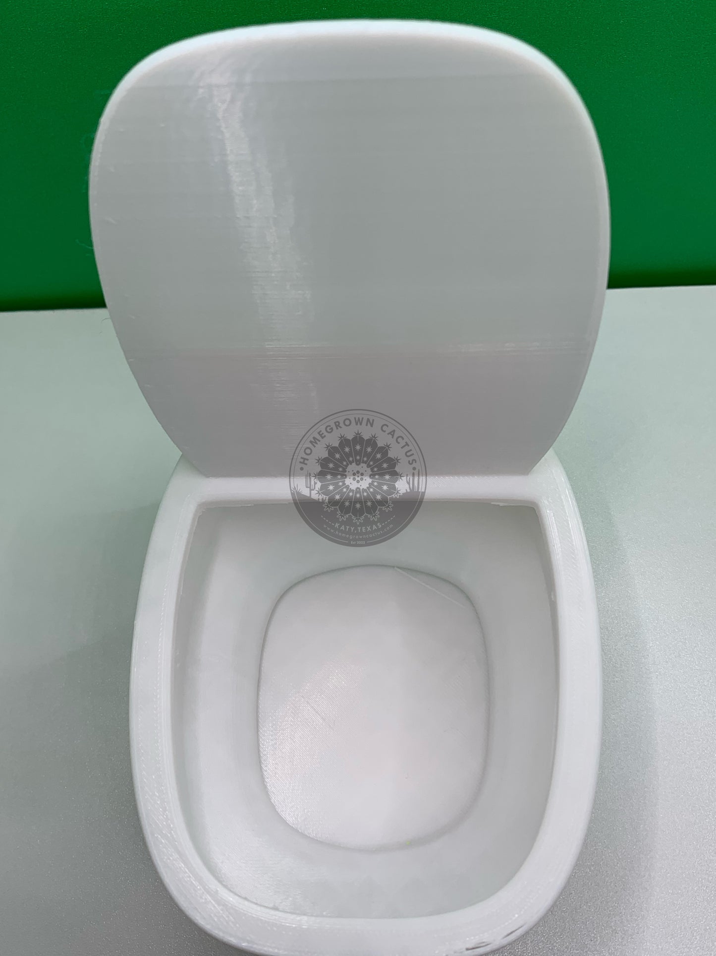 Toilet Planter