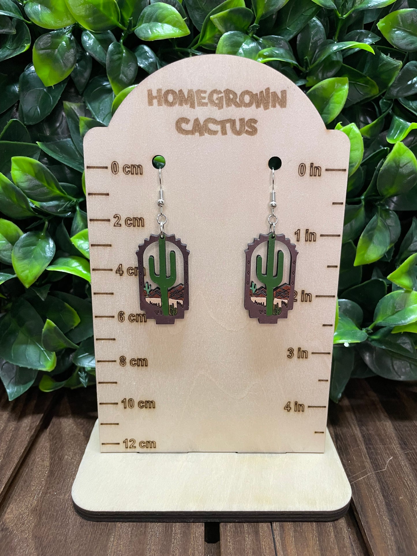 Desert Earrings