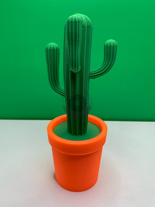 Cactus Stash Pot