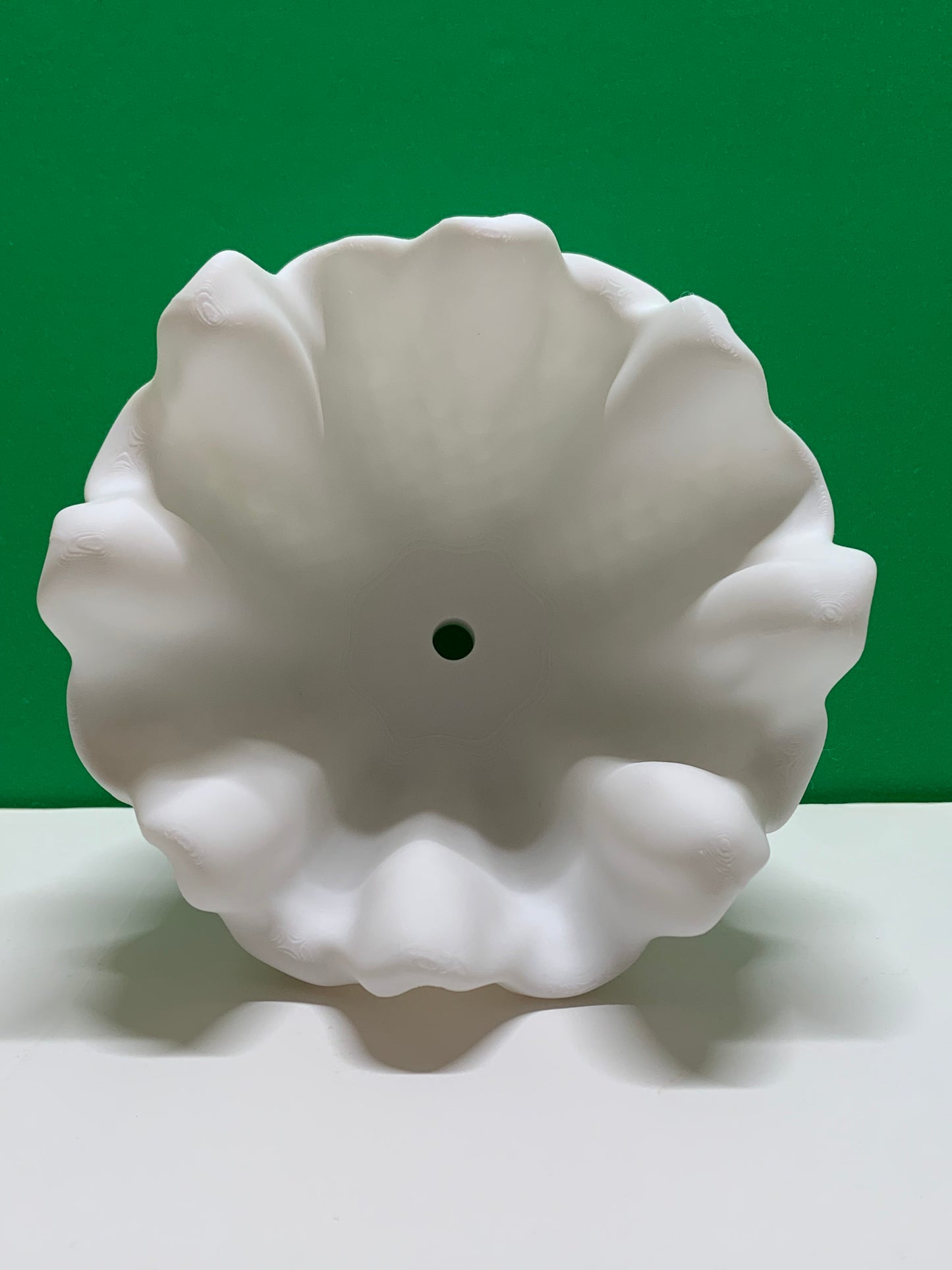 Shell Planter
