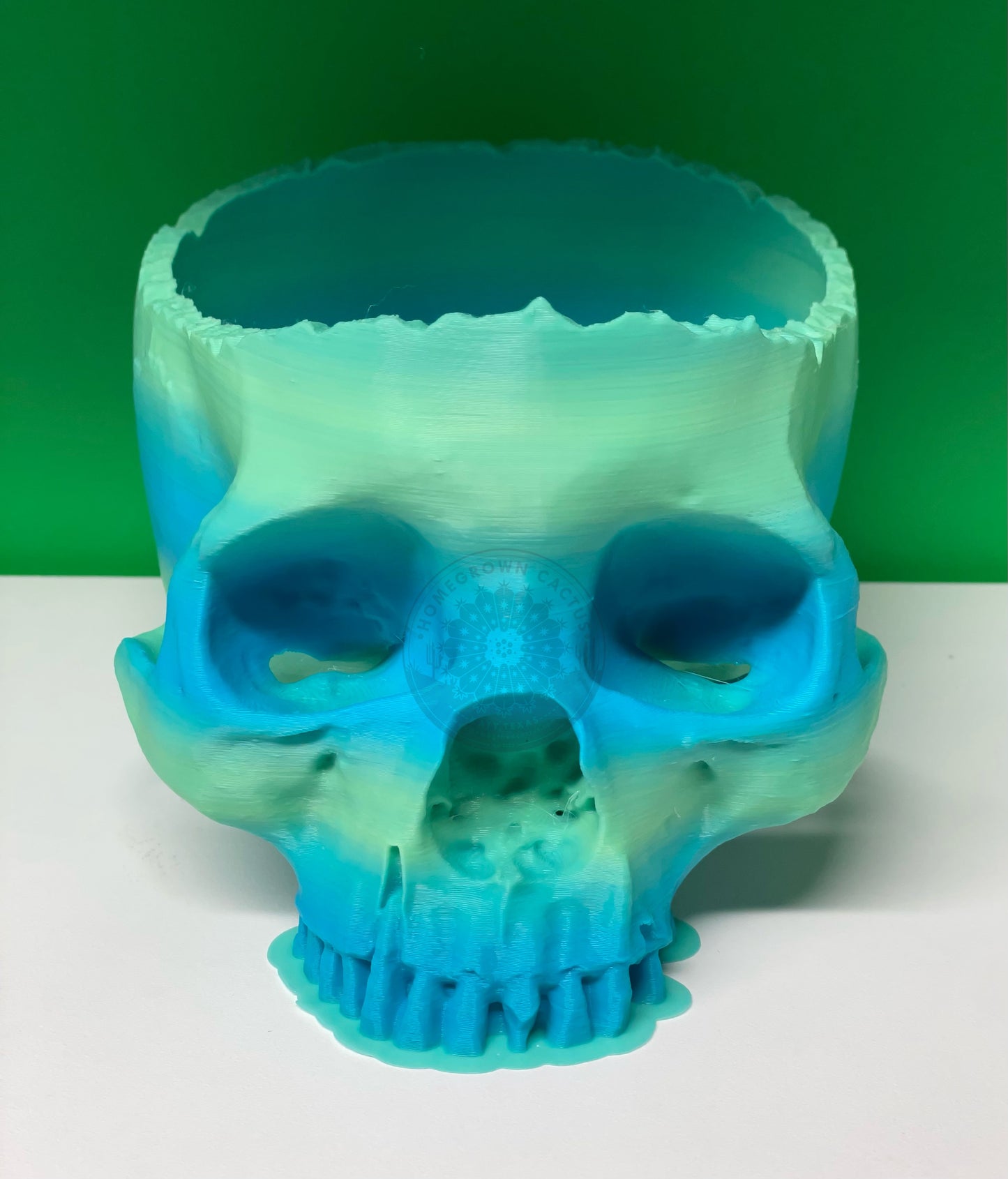 Skull Planter