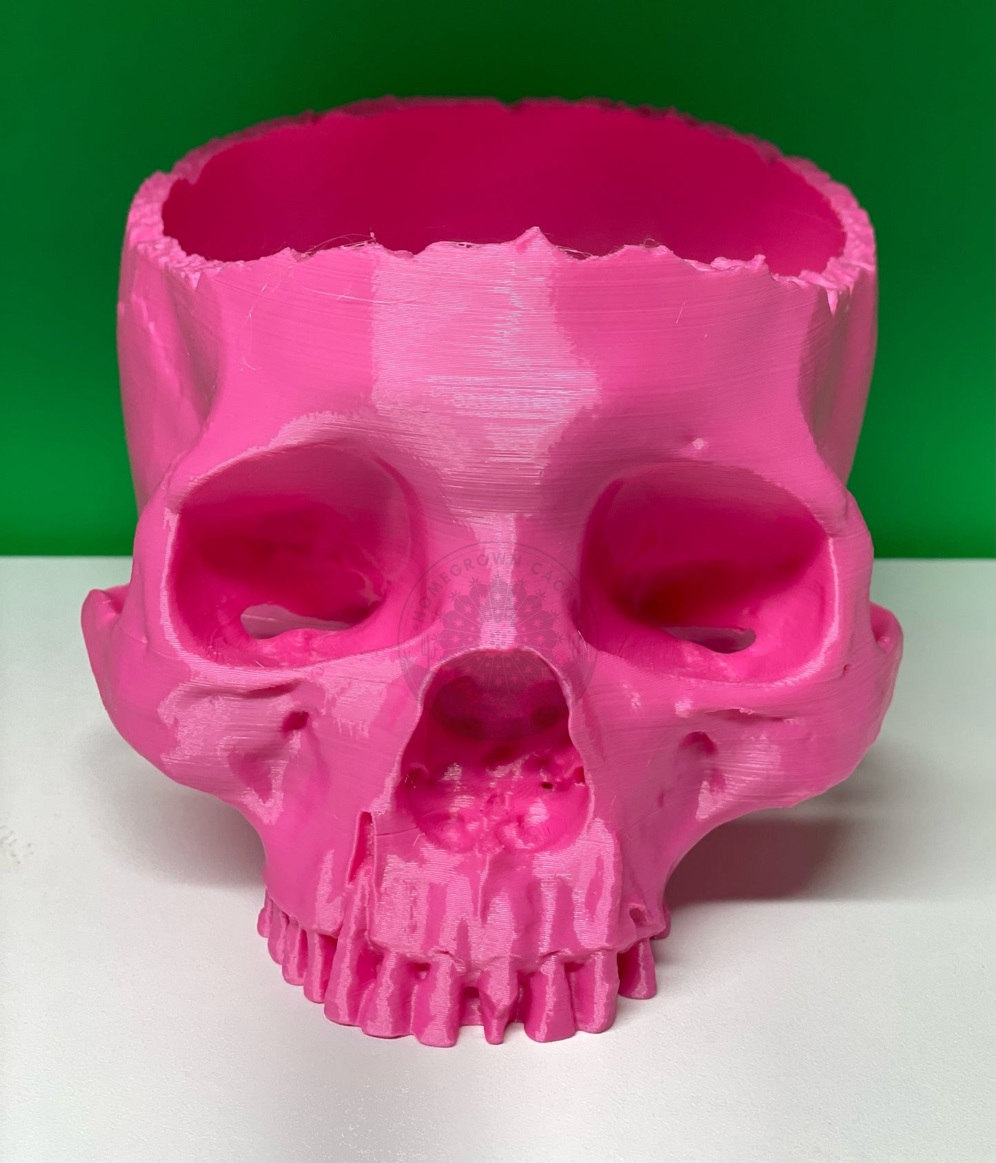 Skull Planter
