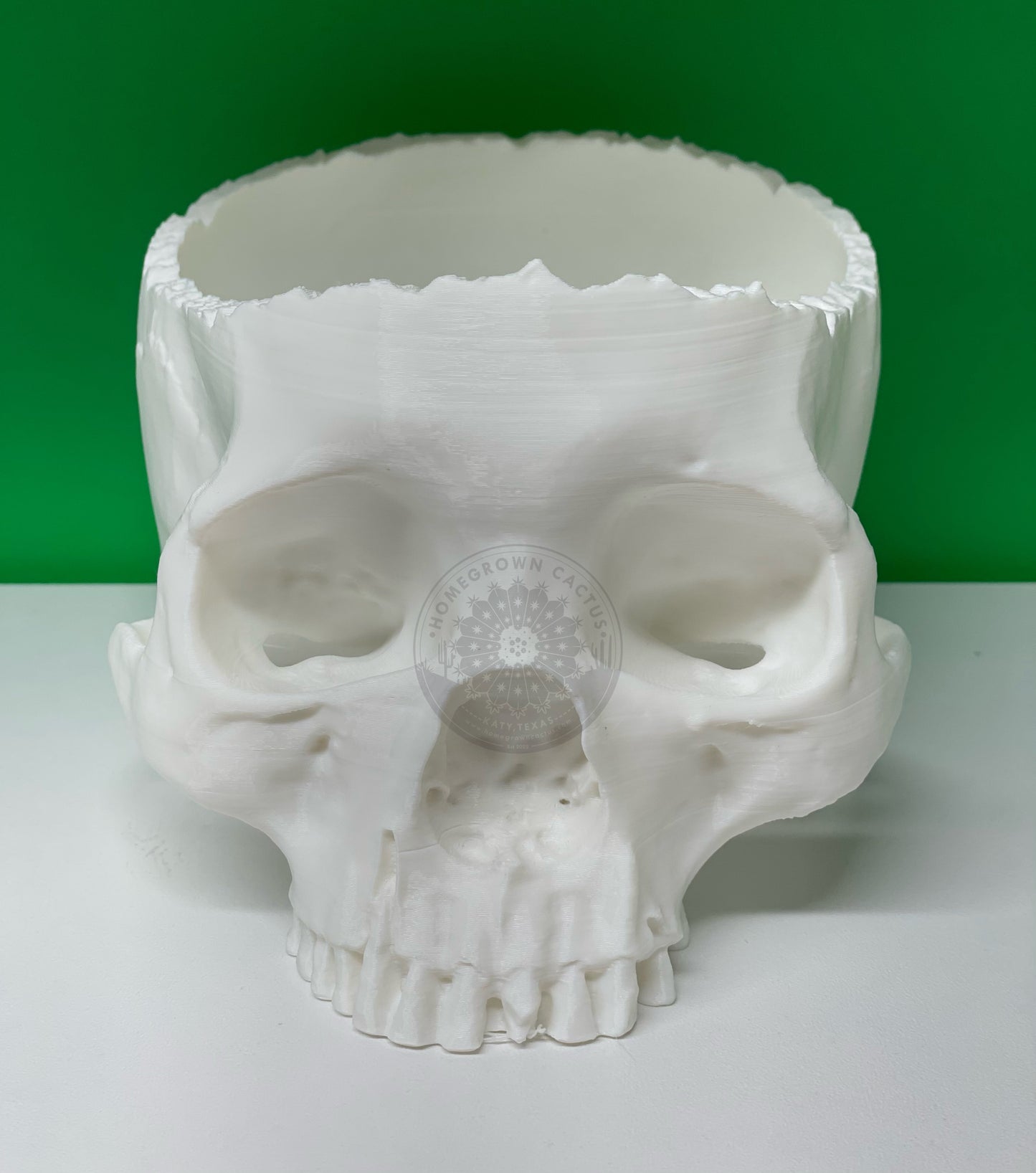 Skull Planter