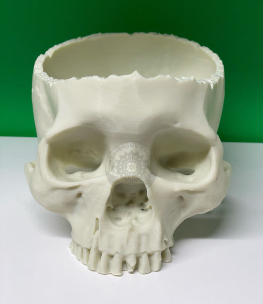 Skull Planter