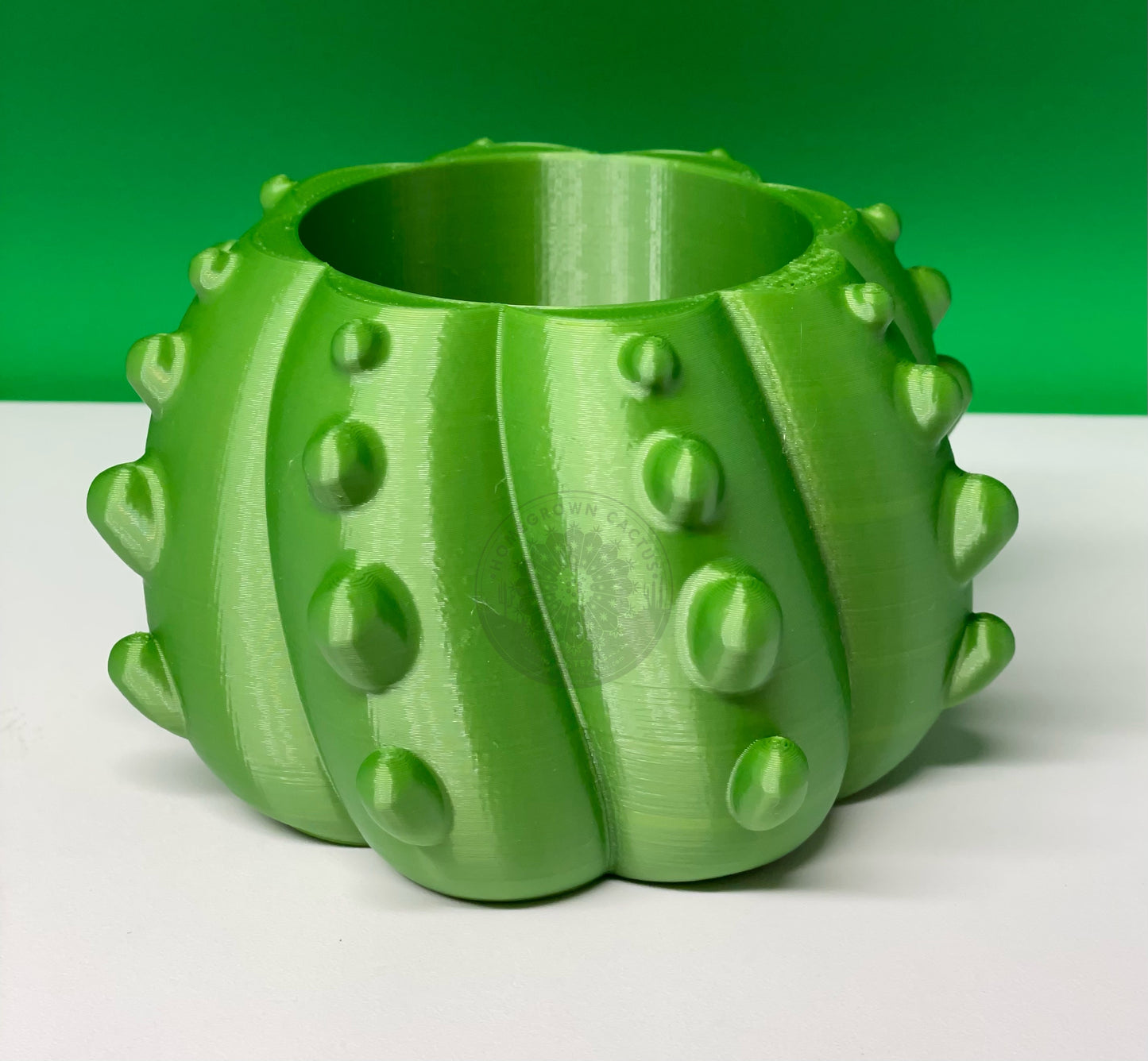 Cactus Pot