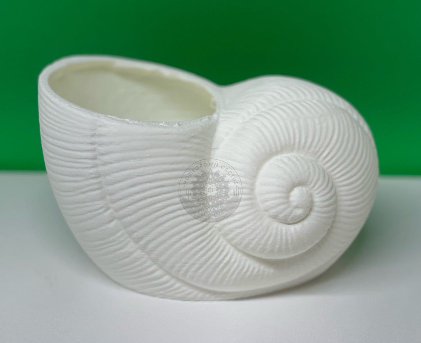 Shell Pot