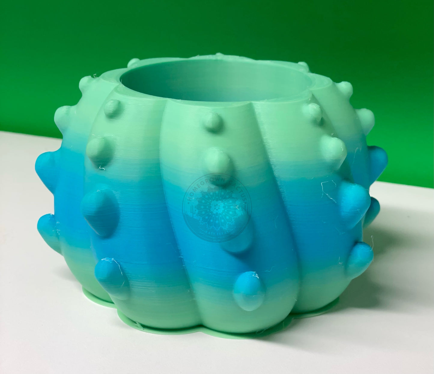 Cactus Pot