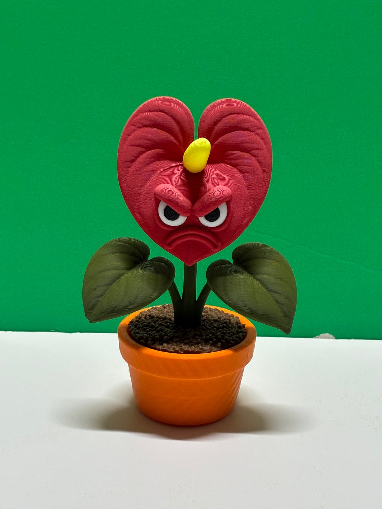 Grumpy Plants Anthurium