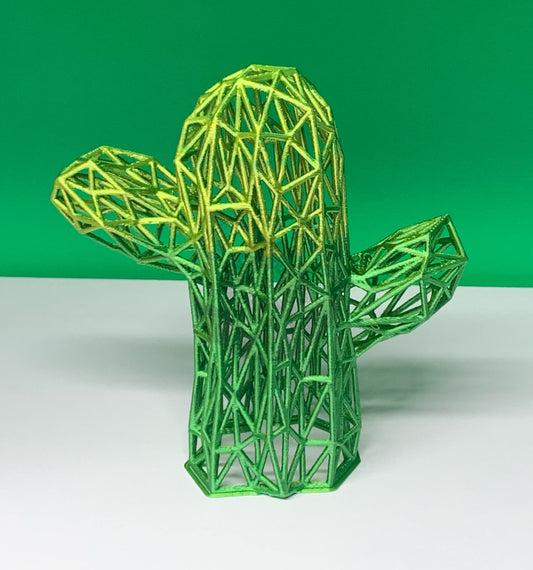 Cactus Pattern