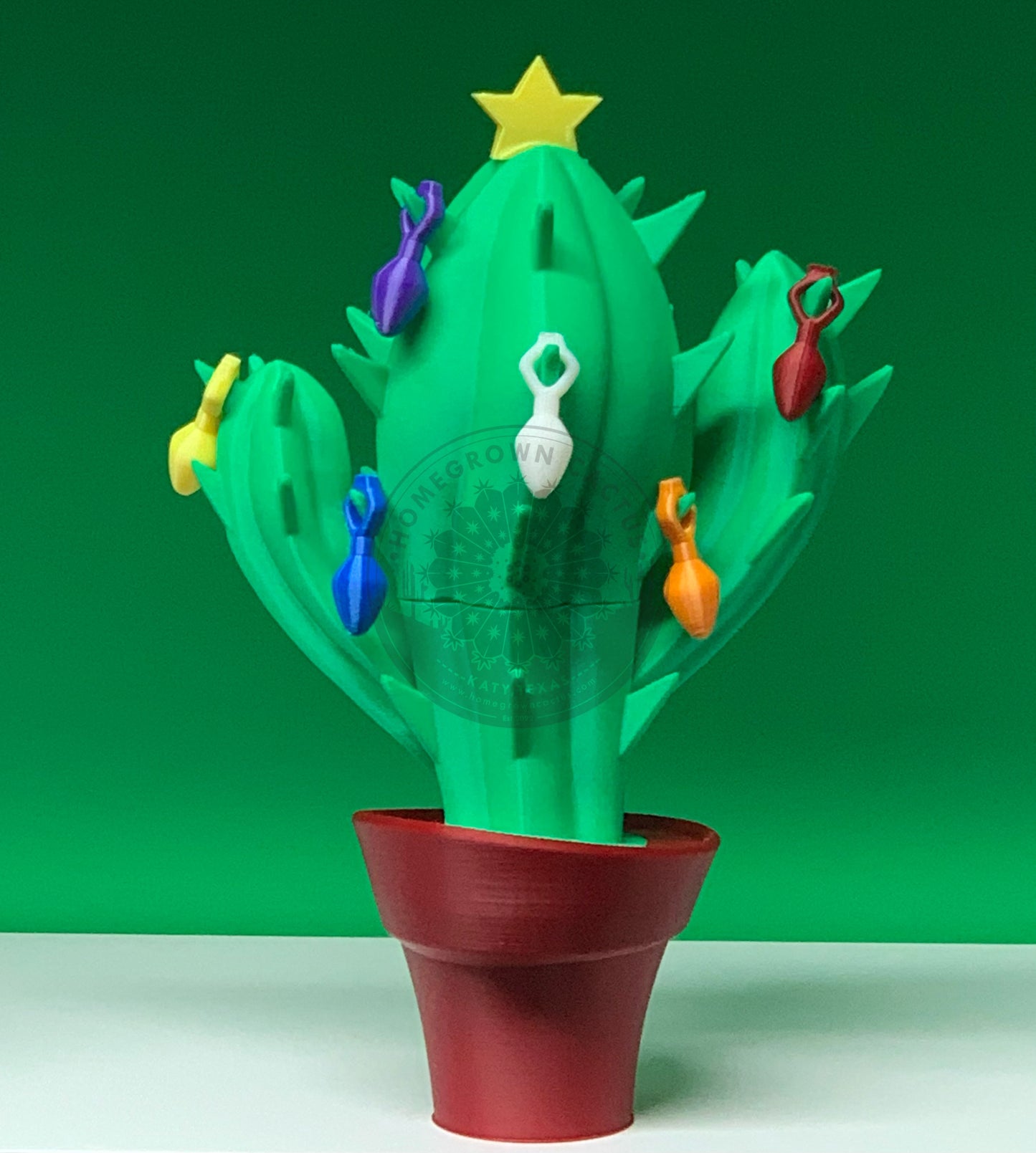 Christmas Cactus