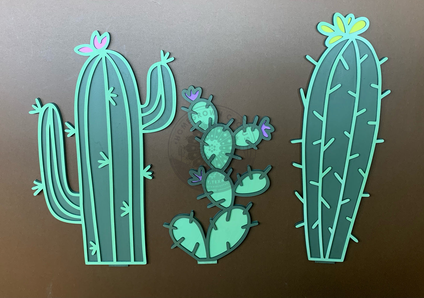 Cactus Set