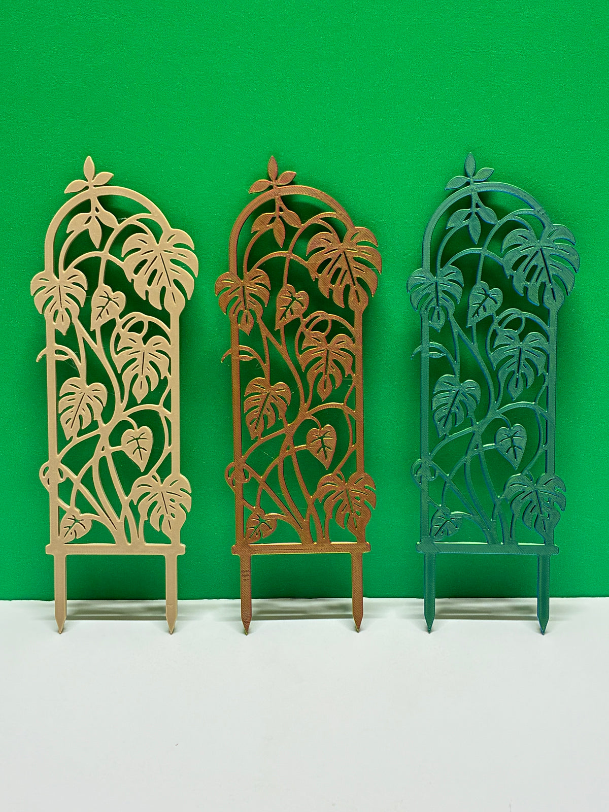 Monstera Trellis