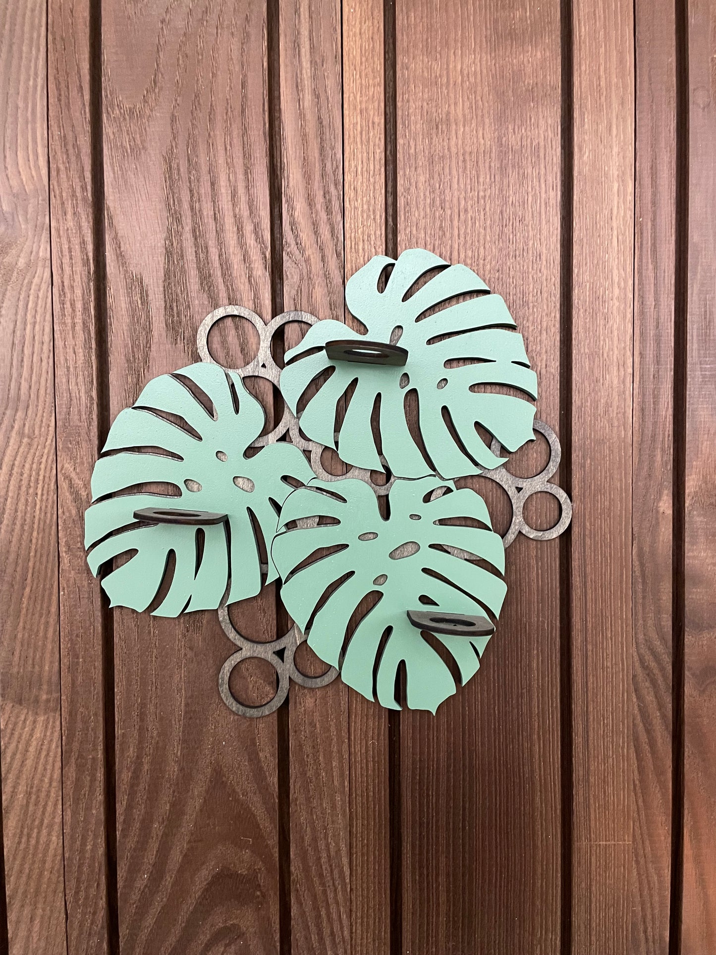 Monstera Propagation Station