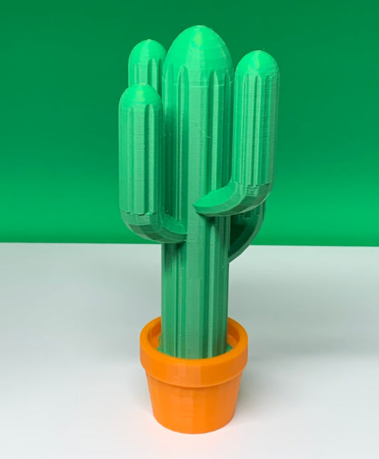 Cactus - Arizona