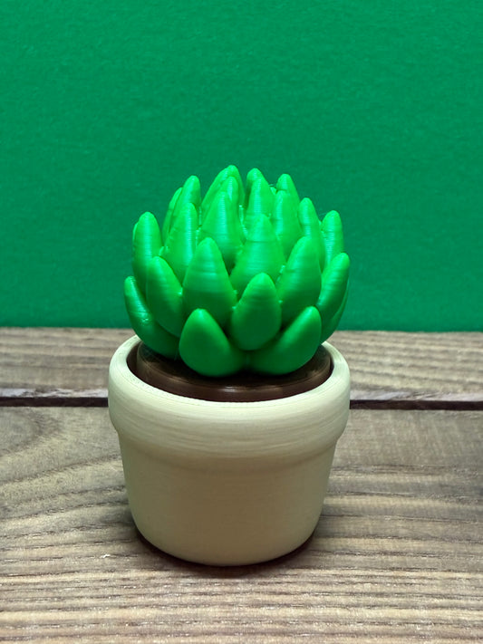 Succulent Clicker