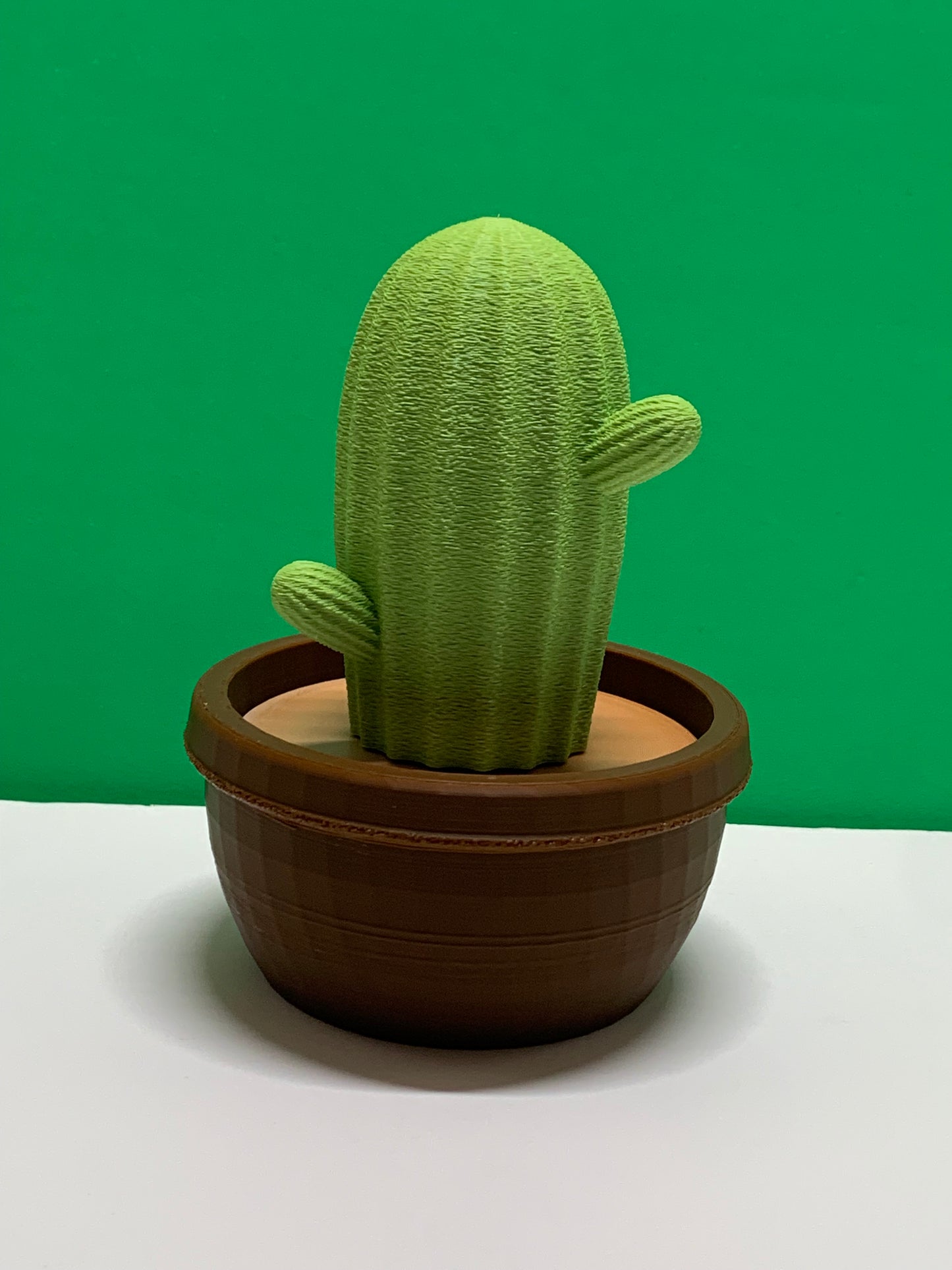 Sculpture Echinocereus Cactus