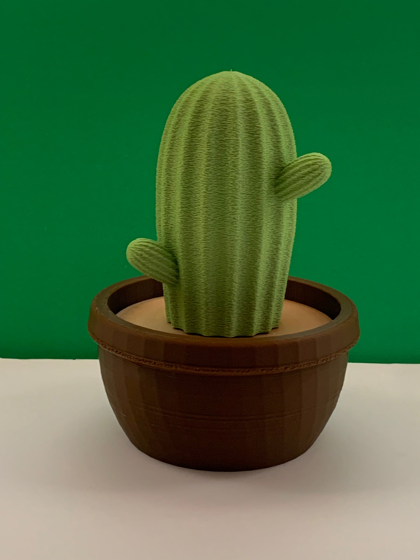 Sculpture Echinocereus Cactus