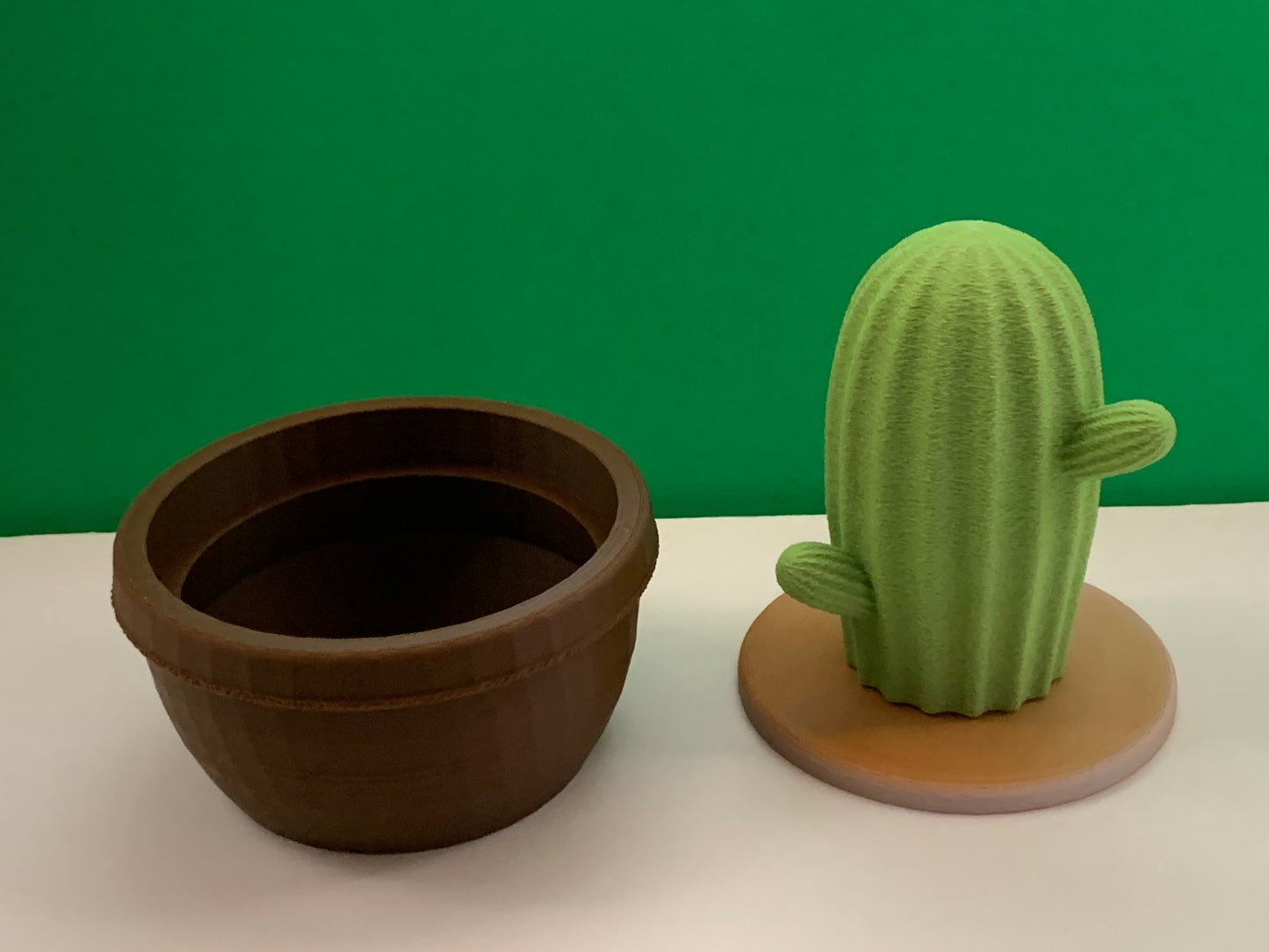 Sculpture Echinocereus Cactus