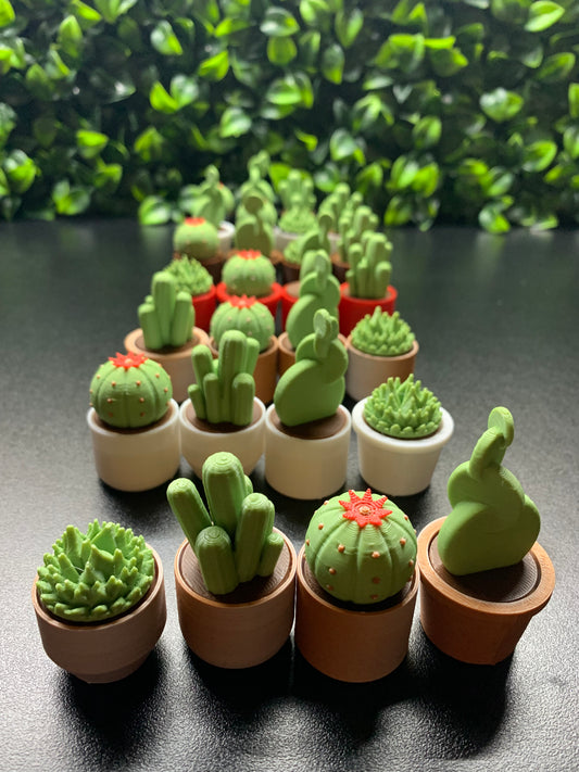 Cactus Clickers