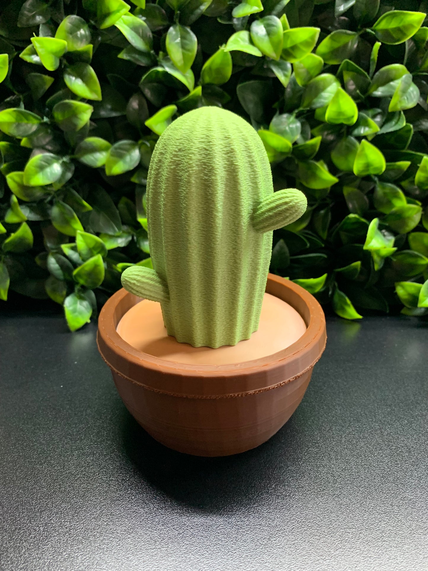 Sculpture Echinocereus Cactus