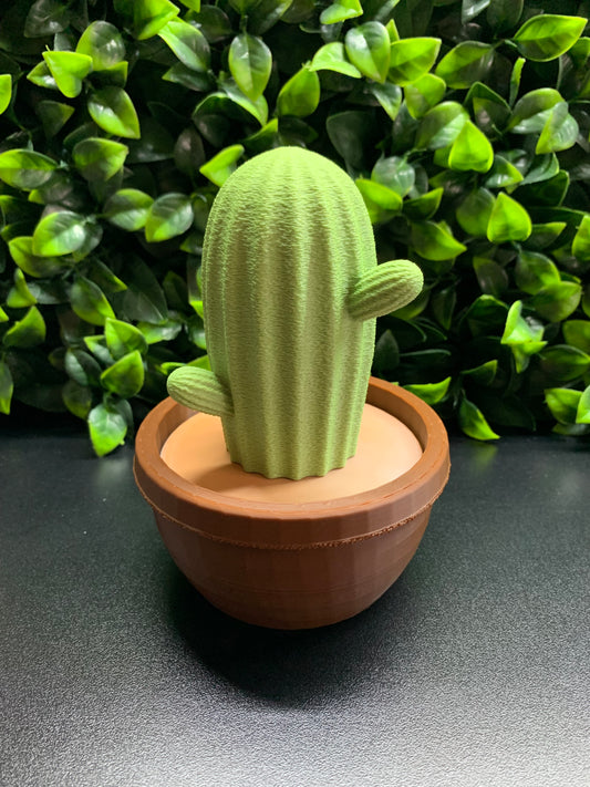 Sculpture Echinocereus Cactus