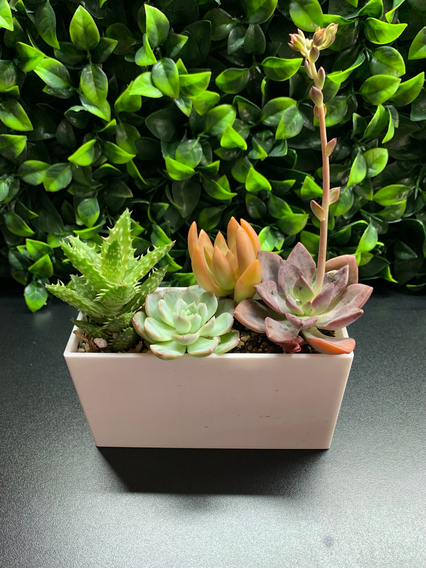 VW Bus Planter Insert Succulent Arrangement