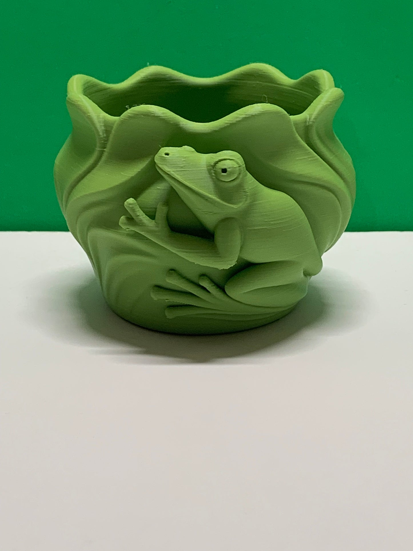 Frog Planter Pot