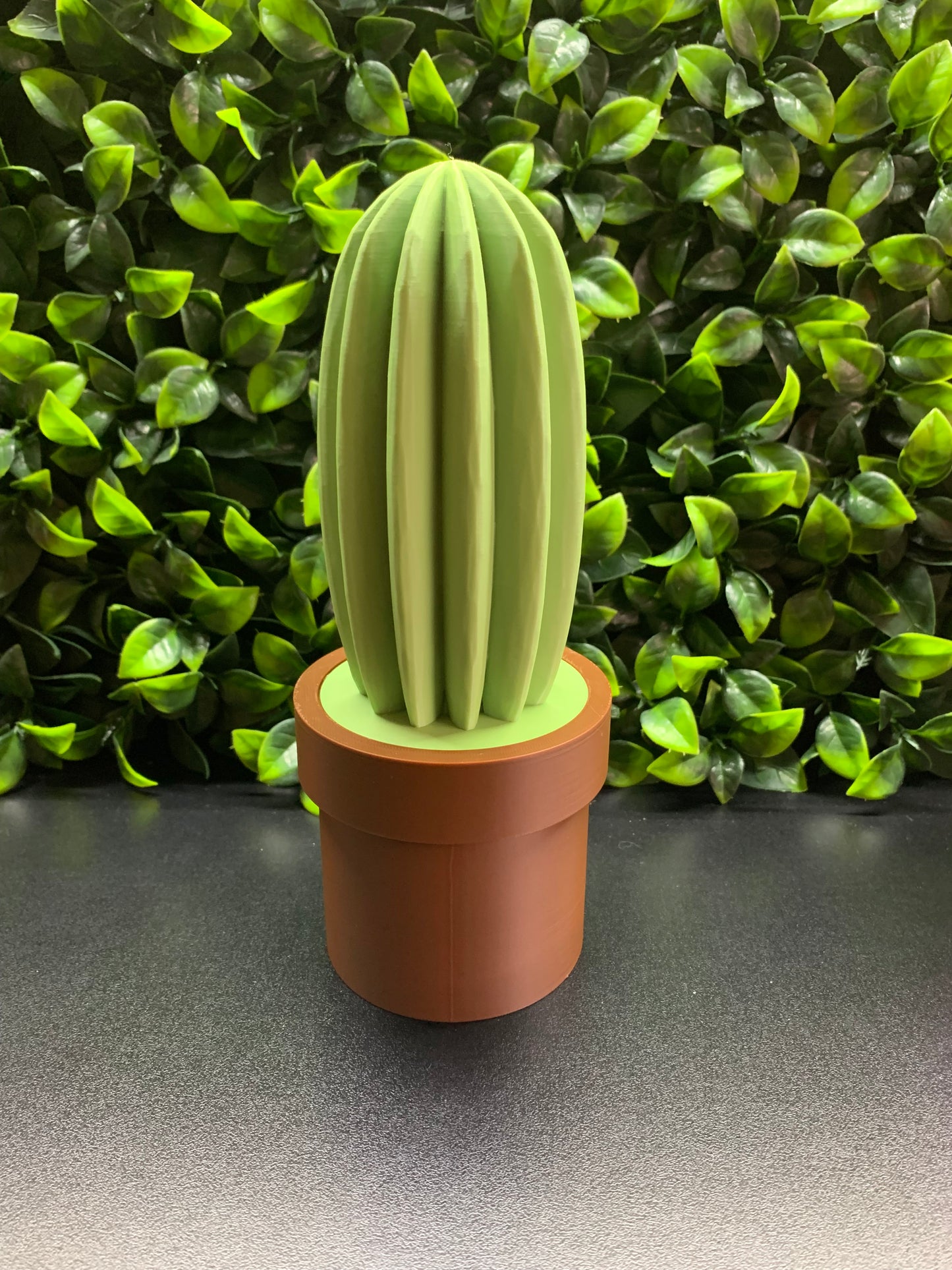 Cactus Storage Pot