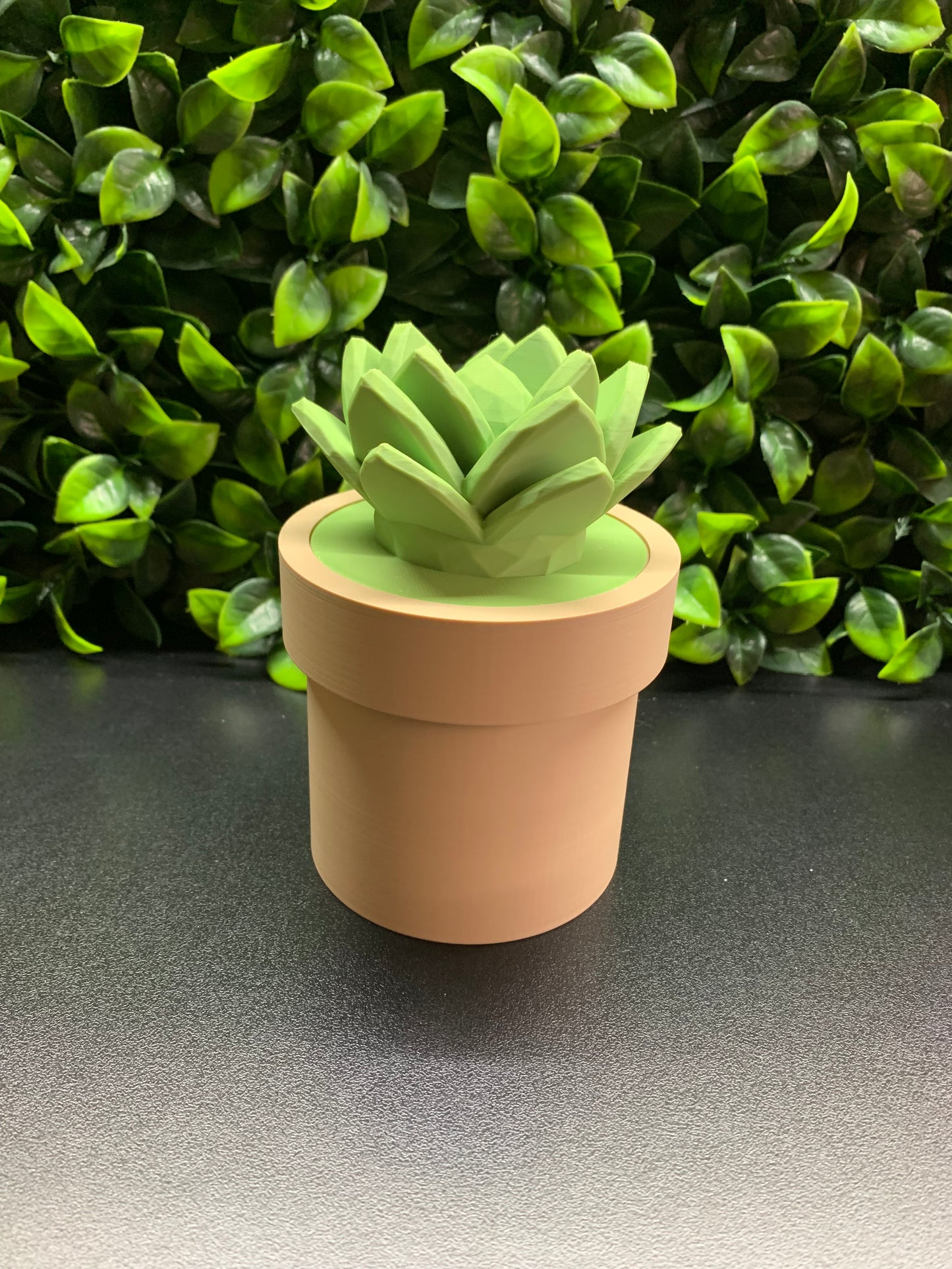 Succulent Storage Pot