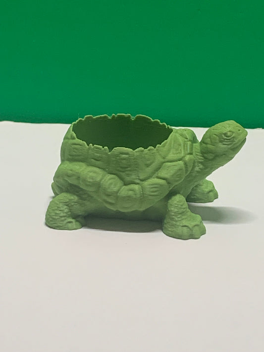 Tint Turtle Pot