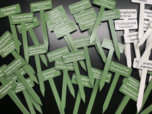Cactus and Succulent Plant Labels