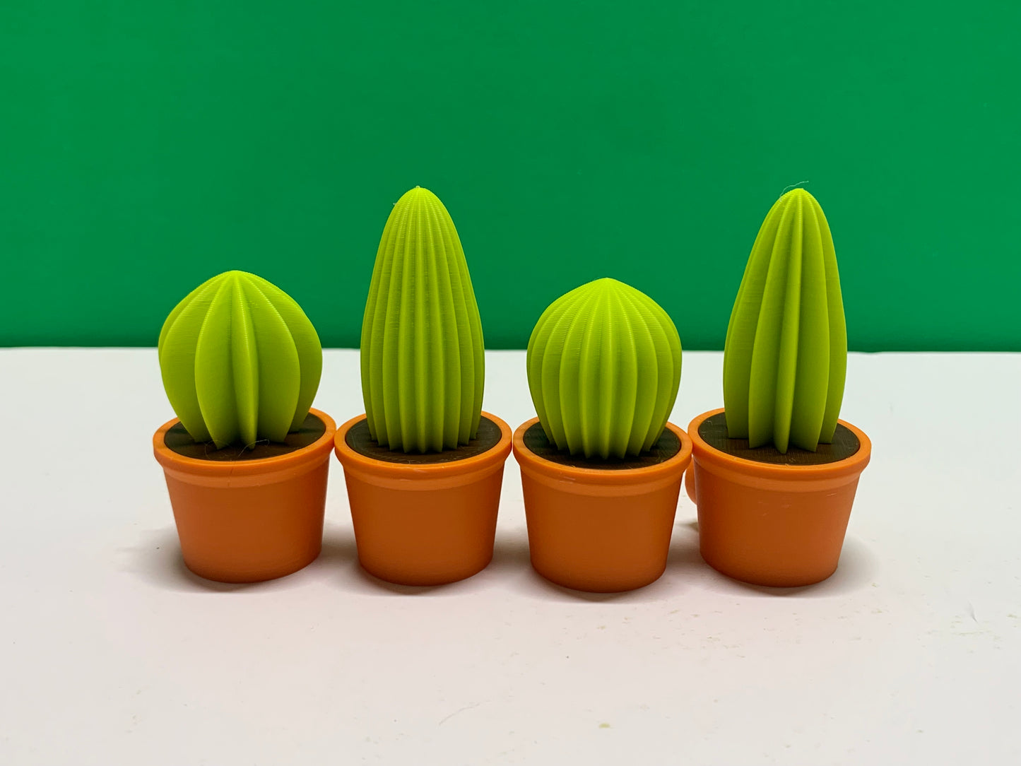 Cactus Magnet