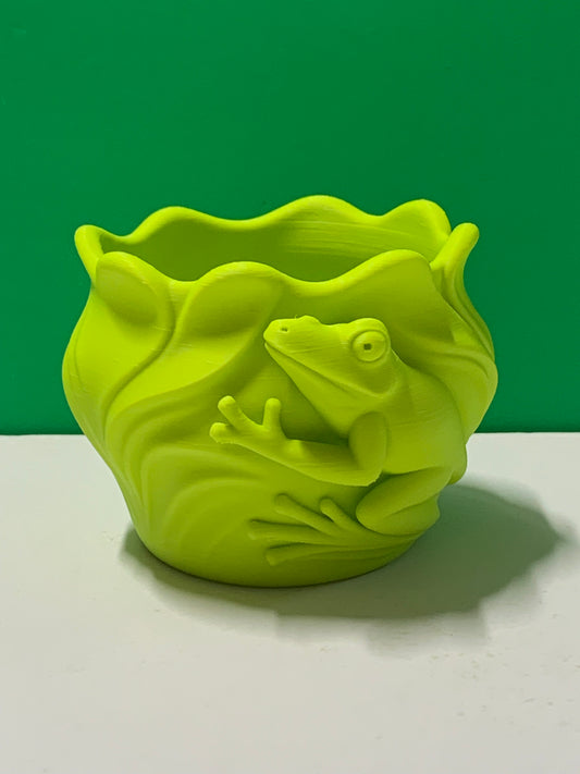 Frog Planter Pot