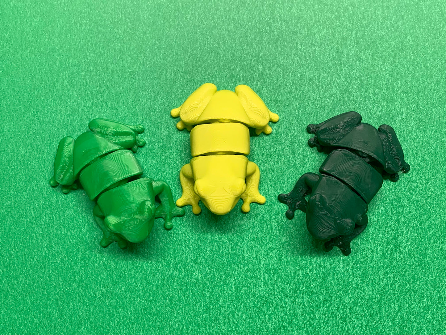 Articulated Tree Frog
