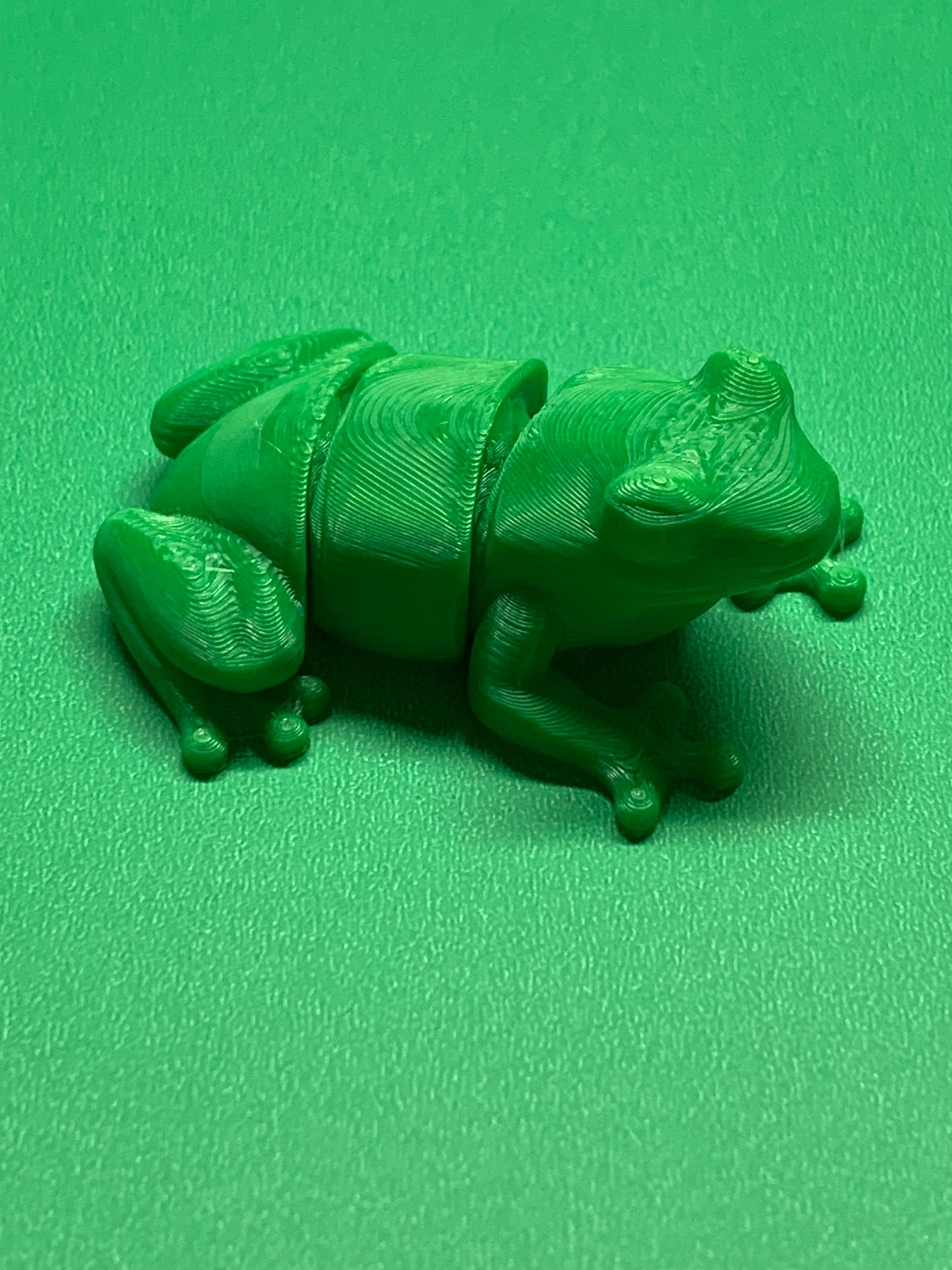 Articulated Tree Frog