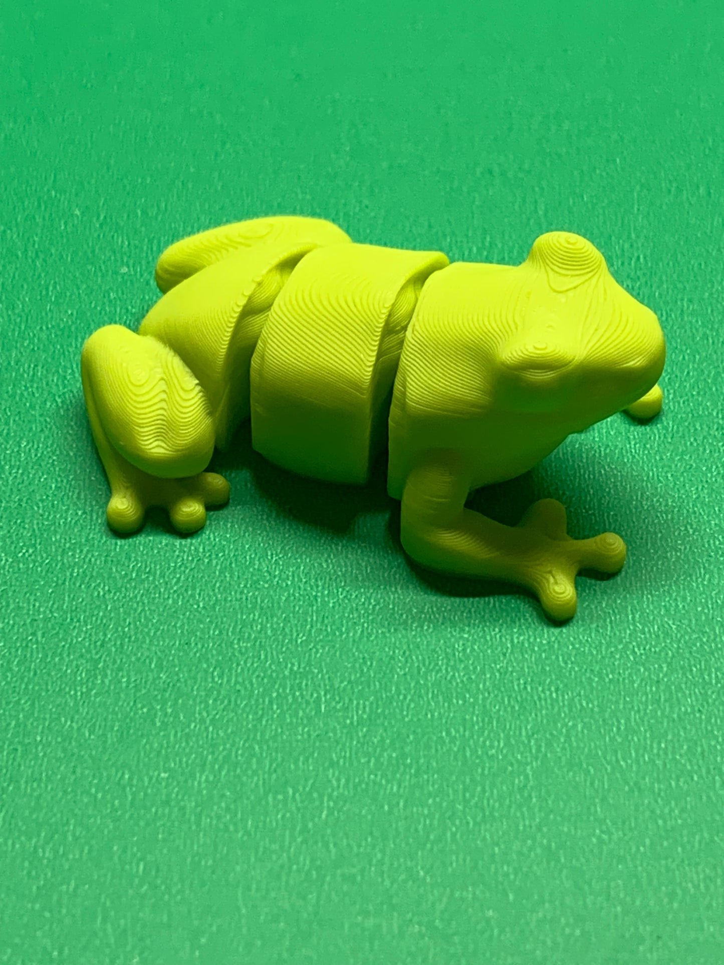 Articulated Tree Frog