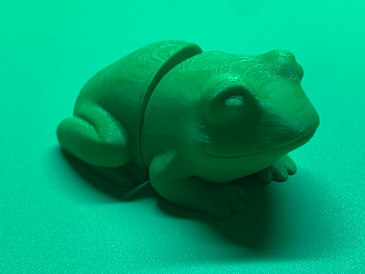 Articulated Toad - Frog