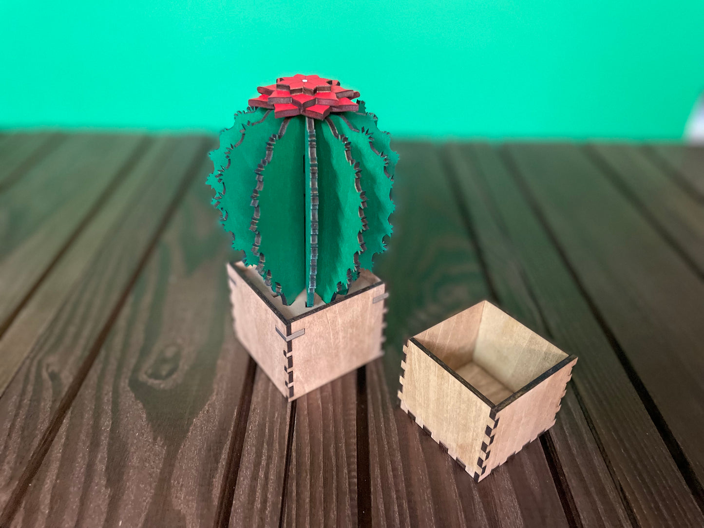 Wooden Barrel Cactus - Stash Box