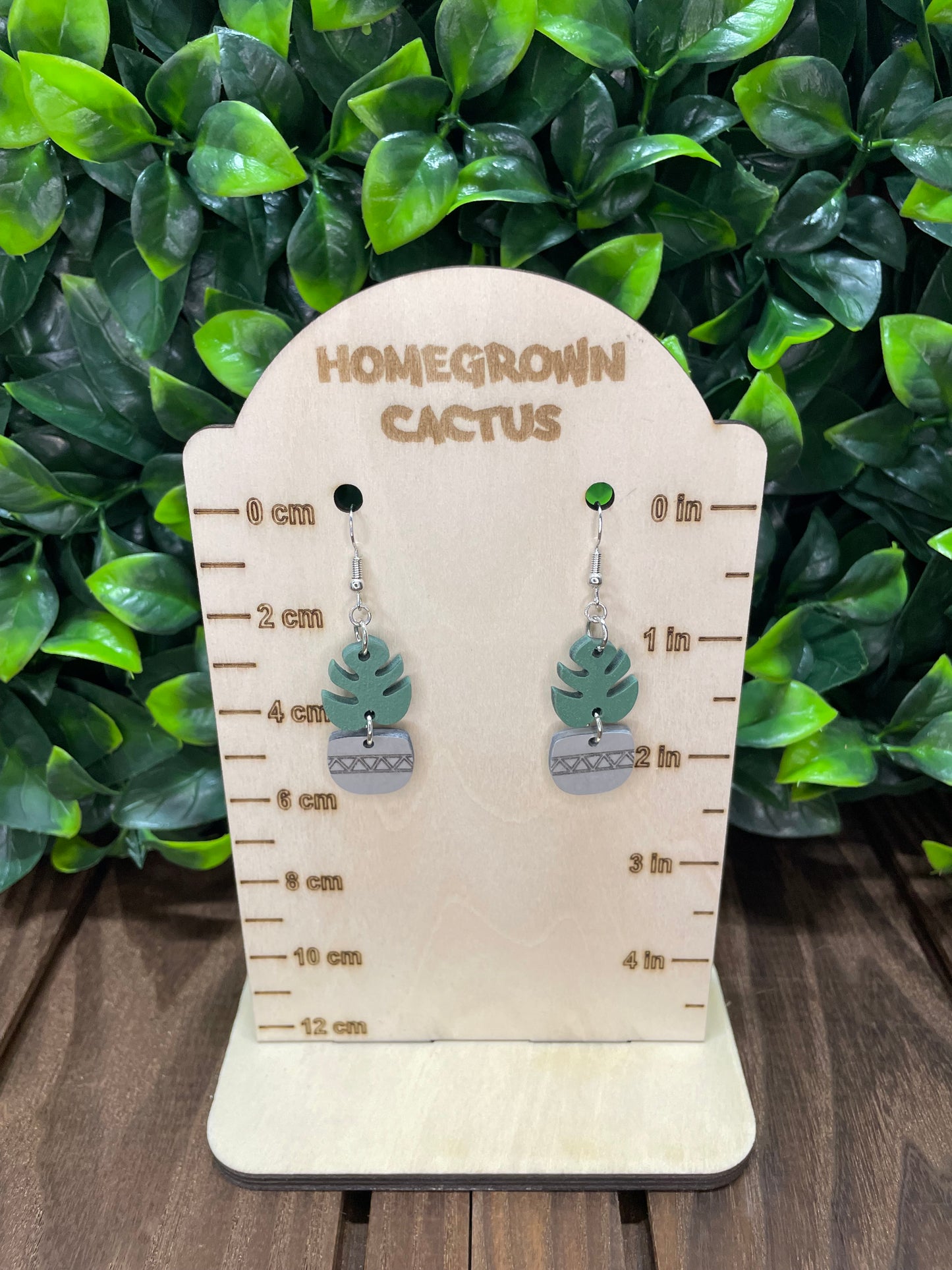 Potted Monstera Plant Earrings
