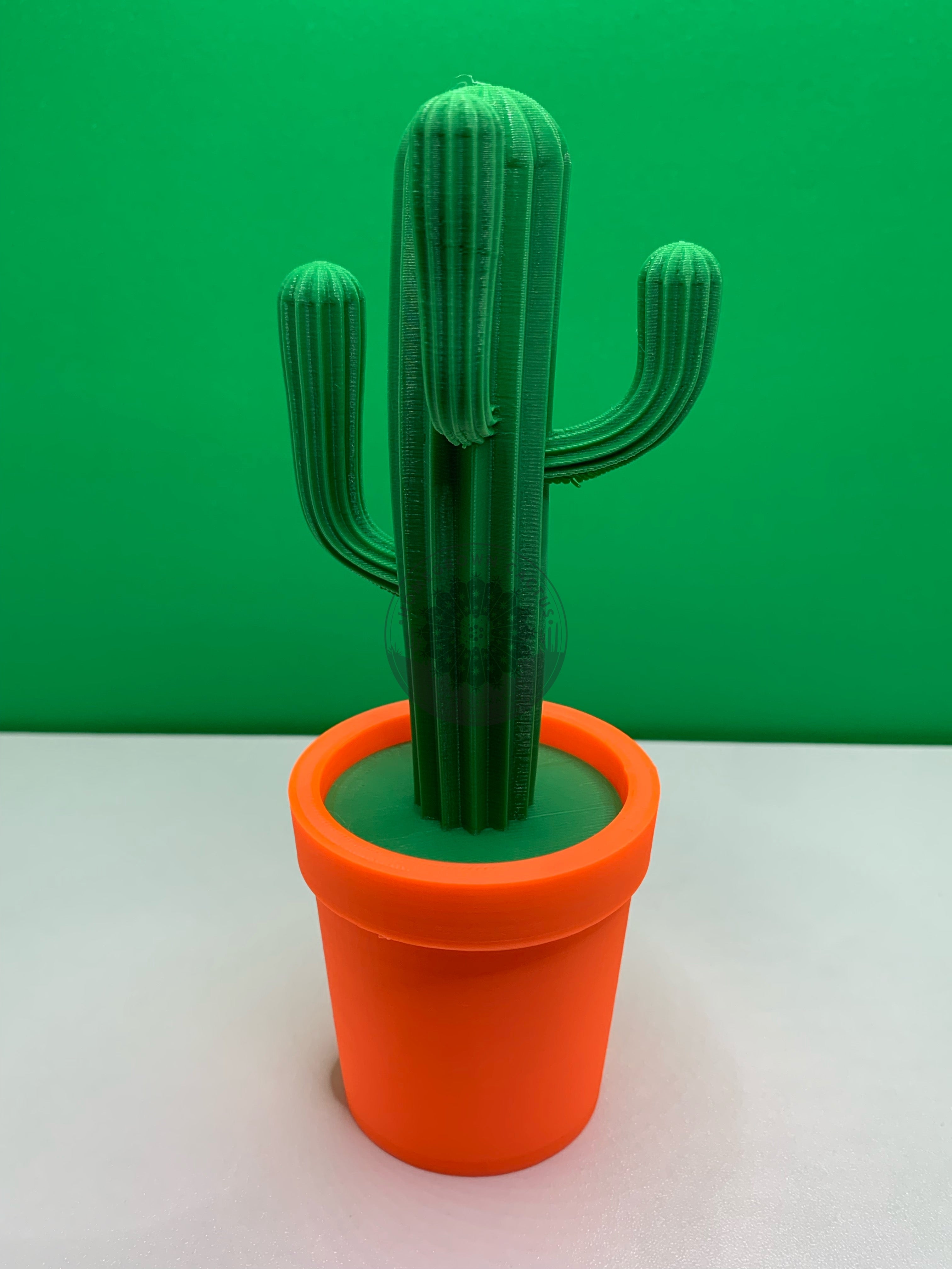 Cactus Stash Pot – Homegrown Cactus