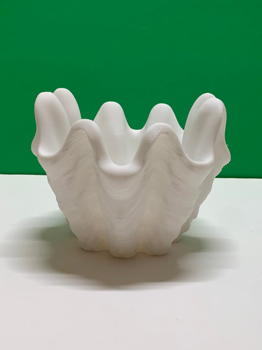 Shell Planter