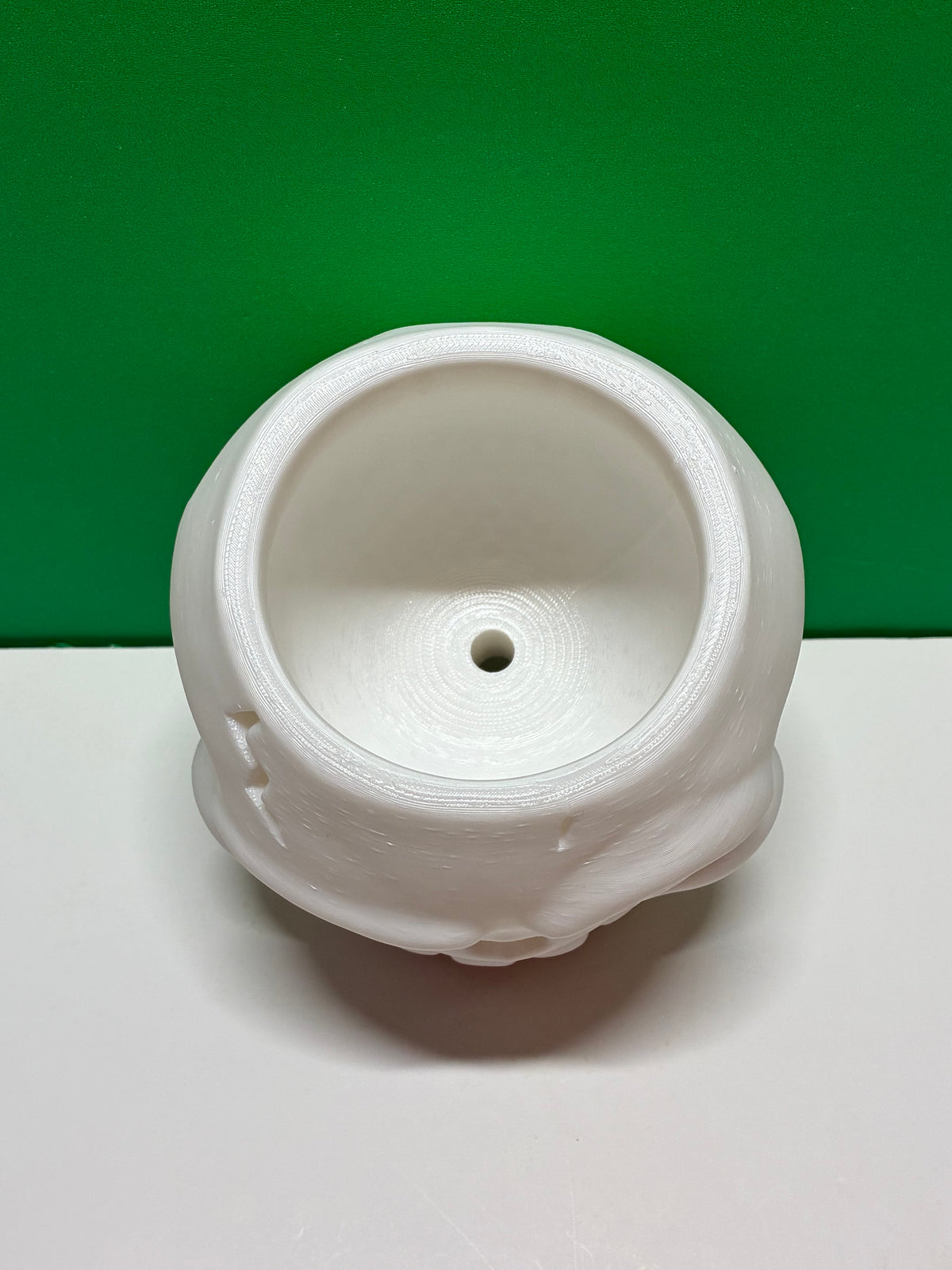 Bone Dry Skull Planter Pot